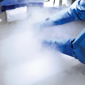 The Secret of Cryogenic Treatment: A New Techni...